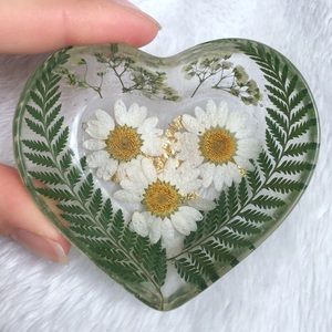 Dried Daisy Fern Dish